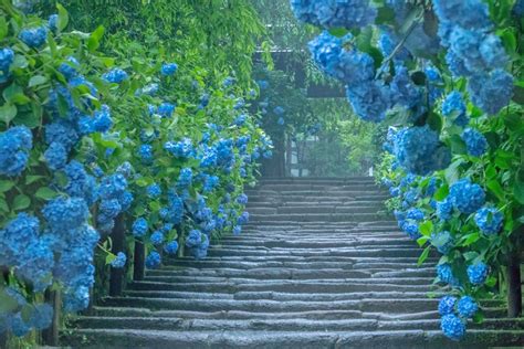 雨日|日本の四季折々の風景に欠かせない「雨」の美しい表現 72種類。